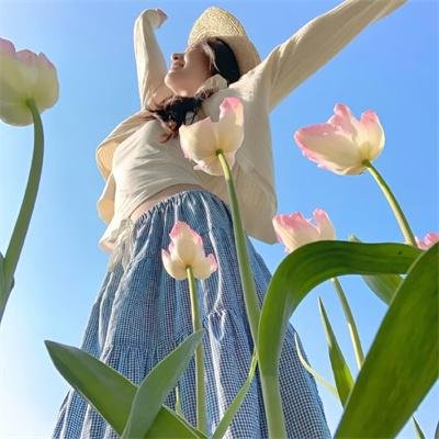 三角草的春天